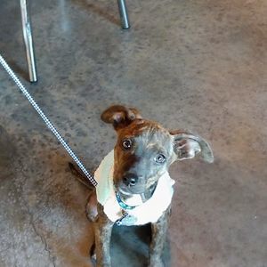 Meet your Posher, Michele